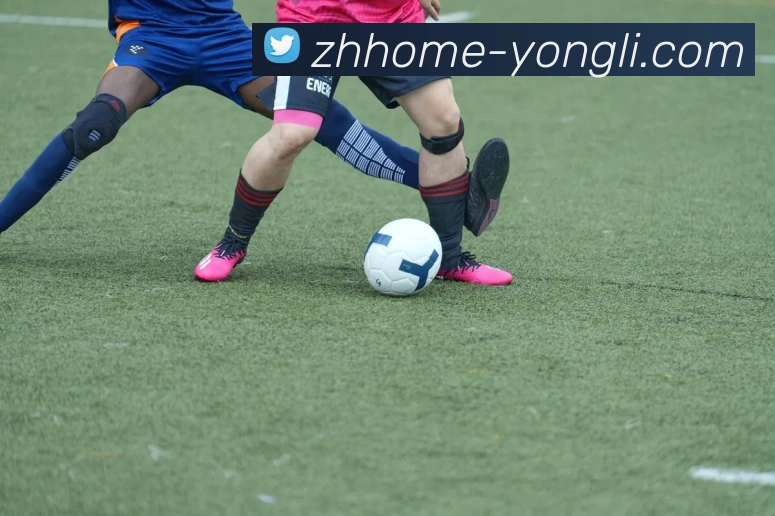 App Interface Preview